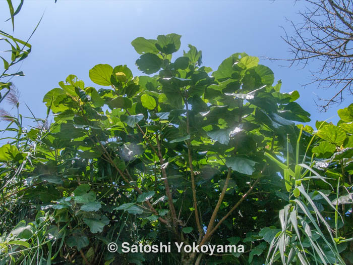 写真6-07